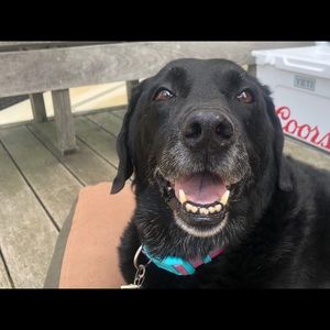 Meet your Posher, Sheila